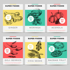 Beautiful vector hand drawn super foods card set.