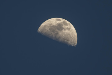 Wall Mural - Half moon and blue sky