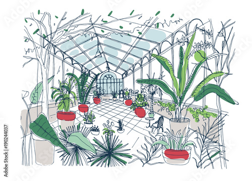 Freehand Drawing Of Interior Of Botanical Garden Full Of