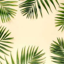 Tropical Green Leaves Palm Fronds Isolated On Yellow Background. The Apartment Lay, Top View