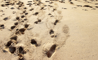 Footprints on the sand at sunset