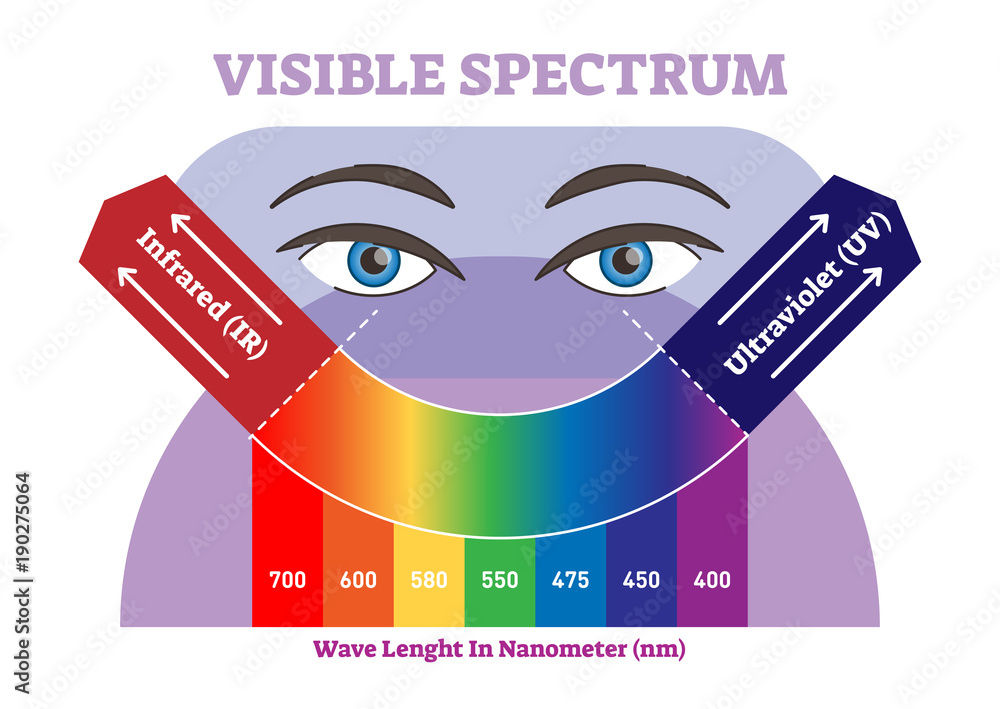 Visible spectrum vector illustration diagram, color scheme from infrared to ultraviolet color scale.  - obrazy, fototapety, plakaty 