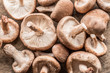 Shiitake mushrooms. Macro. Food background.