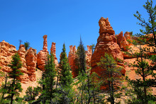 Hoodoo Spires Along Tower Bridge Trail In Bryce Canyon National Park