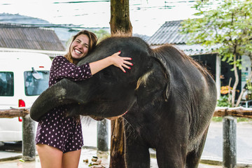 Wall Mural - Girl Feeding Baby Elephant in Thailand