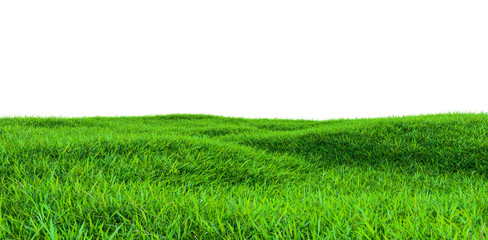 Wall Mural - green grass field isolated on white background
