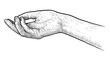 Palm up hand illustration, drawing, engraving, ink, line art, vector