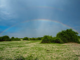 Fototapeta Tęcza - Amazing scene of double rainbow on blue sky copy space background above natural sand, grass  and tree on savanna plain, Chobe national park