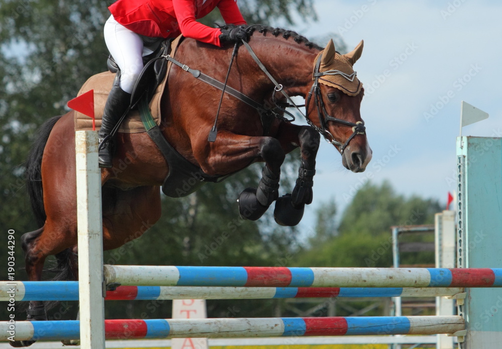 Stock-Foto „Rider jump over obstacles on horseback. Horseback riding ...