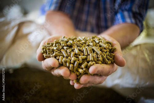 Fotomural Close up image of hands holding animal feed at a stock yard