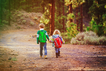 little boy and girl travel hiking in nature