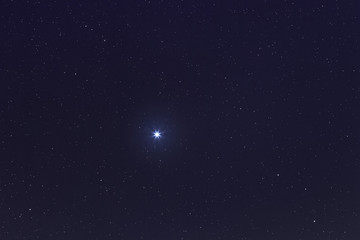 Wall Mural - sirius brightest star on night sky. sirius star.