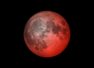 Wall Mural - blood moon or super moon concept or red moon on the dark sky on january 31, 2018. elements of this i