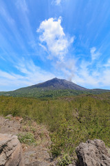 Wall Mural - 有村溶岩展望所からの桜島 -大正溶岩原に作られた360度広がる眺望の展望所-