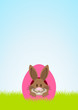 Front Easter Bunny Hiding In Egg Meadow Pink/Brown