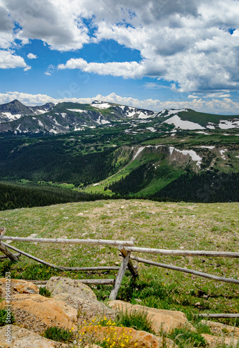 Fotografie, Obraz Alpine meadow at Loveland Pass in Colorado