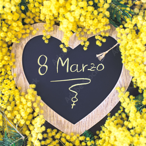 La mimosa è il fiore simbolo