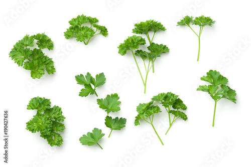 Cuadros en Lienzo Leaves of Parsley Isolated on White Background