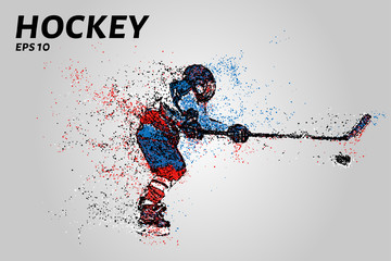 Wall Mural - Hockey player hits a hockey stick. Hockey from the particles.