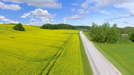 Sticker - Yellow fields in summer season with trees and blue sky, aerial view