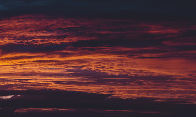 Wall Mural - Beautiful Sky Background