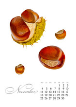 Elegant Printable Calendar 2019. November. Watercolor Chestnuts. Botanical Art. Template For A Banner, Notebook, Cosmetics, Perfume Or Invitation