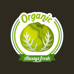 Canvas Print - lettuce fresh organic food emblem image vector illustration design