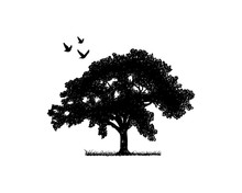 Black Oak Tree With Flying Birds Illustration Silhouette Logo Symbol Vector
