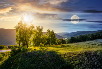 Wall Mural - time change concept over the trees on grassy hill in mountains. lovely nature scenery with sun and m