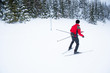 Nordic ski in beautiful white nature