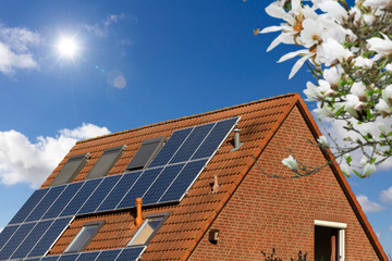 Wall Mural - roof with photovoltaic module