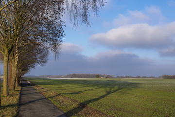 Poster - Fahrradweg im Münsterland