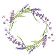 Wildflower lavender flower wreath in a watercolor style isolated. Full name of the plant: lavender. Aquarelle wild flower for background, texture, wrapper pattern, frame or border.