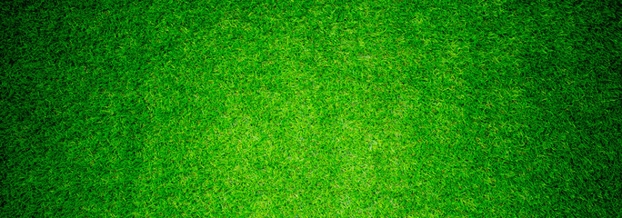 grass field background. green grass. green background