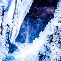 Ice covering plant in winter in abstract blue light