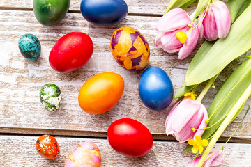  colorful Easter eggs and tulips on a white background