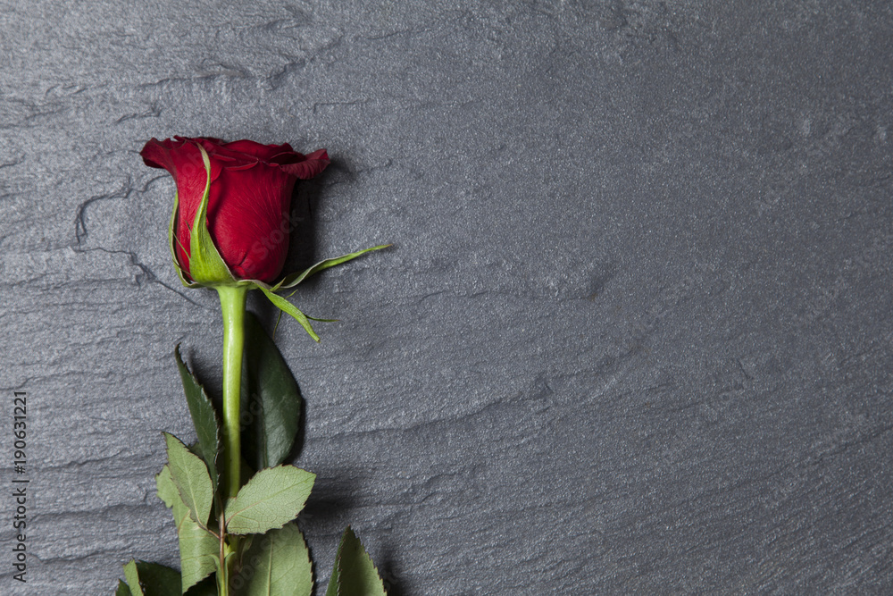 Valentine's day red rose on a slate background with copy space - obrazy, fototapety, plakaty 