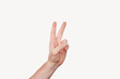 © Vulp - Man’s hand showing peace sign isolated on white background