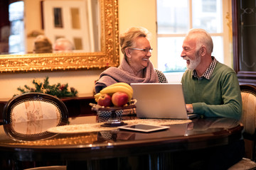 Senior smiling happy couple using computer at home