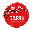 Sakura on red background