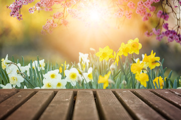 Sticker - Spring flowers and wooden deck in morning sunlight background