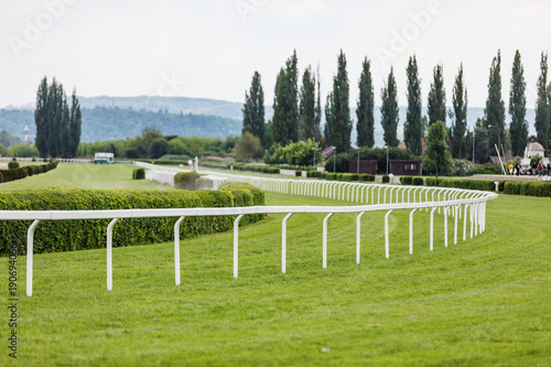 Empty racing track. Treated green grass ready for horse racing. плакат
