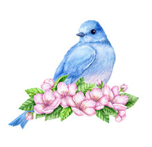 Cute Little Blue Bird In Bloom. Watercolor Illustration. Cute Animals And Birds. Spring Symbol. Happy Easter. Blue Luck Bird
