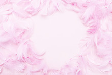 Pink Feathers On Paper Background