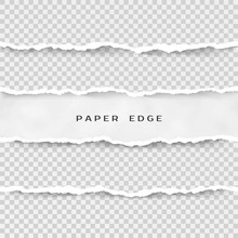 Set Of Torn Paper Stripes. Paper Texture With Damaged Edge Isolated On Transparent Background. Vector Illustration