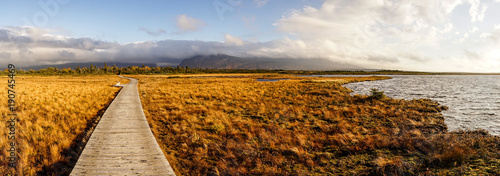 Cuadros en Lienzo Gros Morne National Park in Newfoundland, Canada.