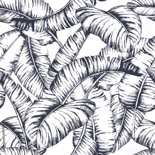 Naklejka na szybę Seamless banana leaves pattern for fashion textile, black line plant vector illustration