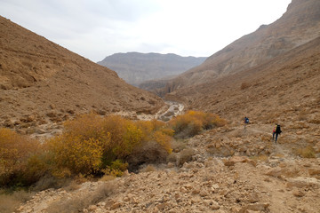 Two hikers traveling in Zeelim gorge, Judea desert in Israel.