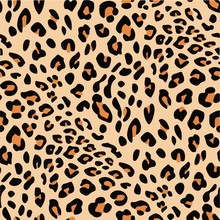 Leopard Skin Wildlife Wallpaper