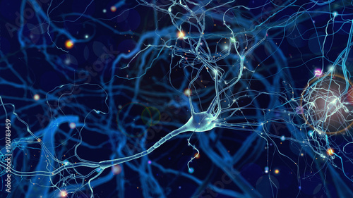 Fotomural Neurons cells concept